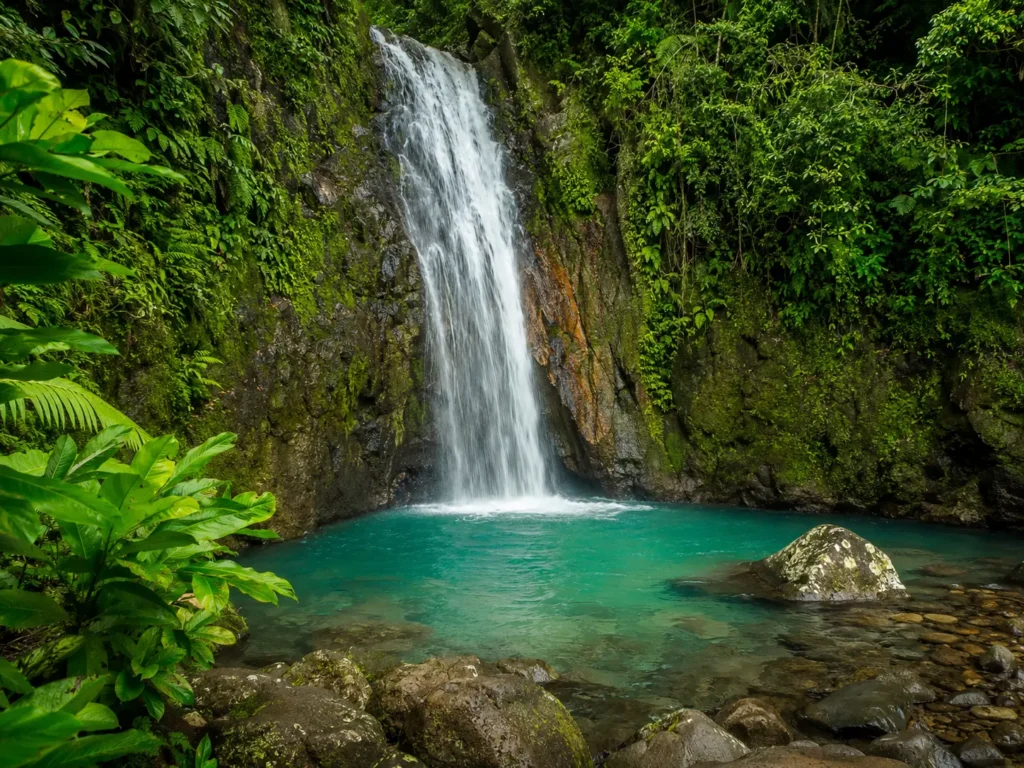 Dominica landscape and local island scenery